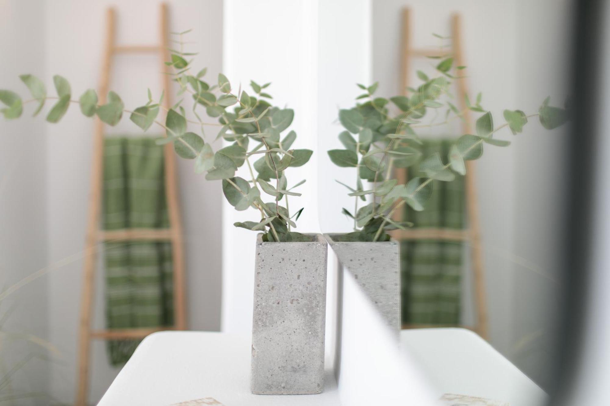 Naxos City Anamnesia Boutique Apartments Naxos Town מראה חיצוני תמונה