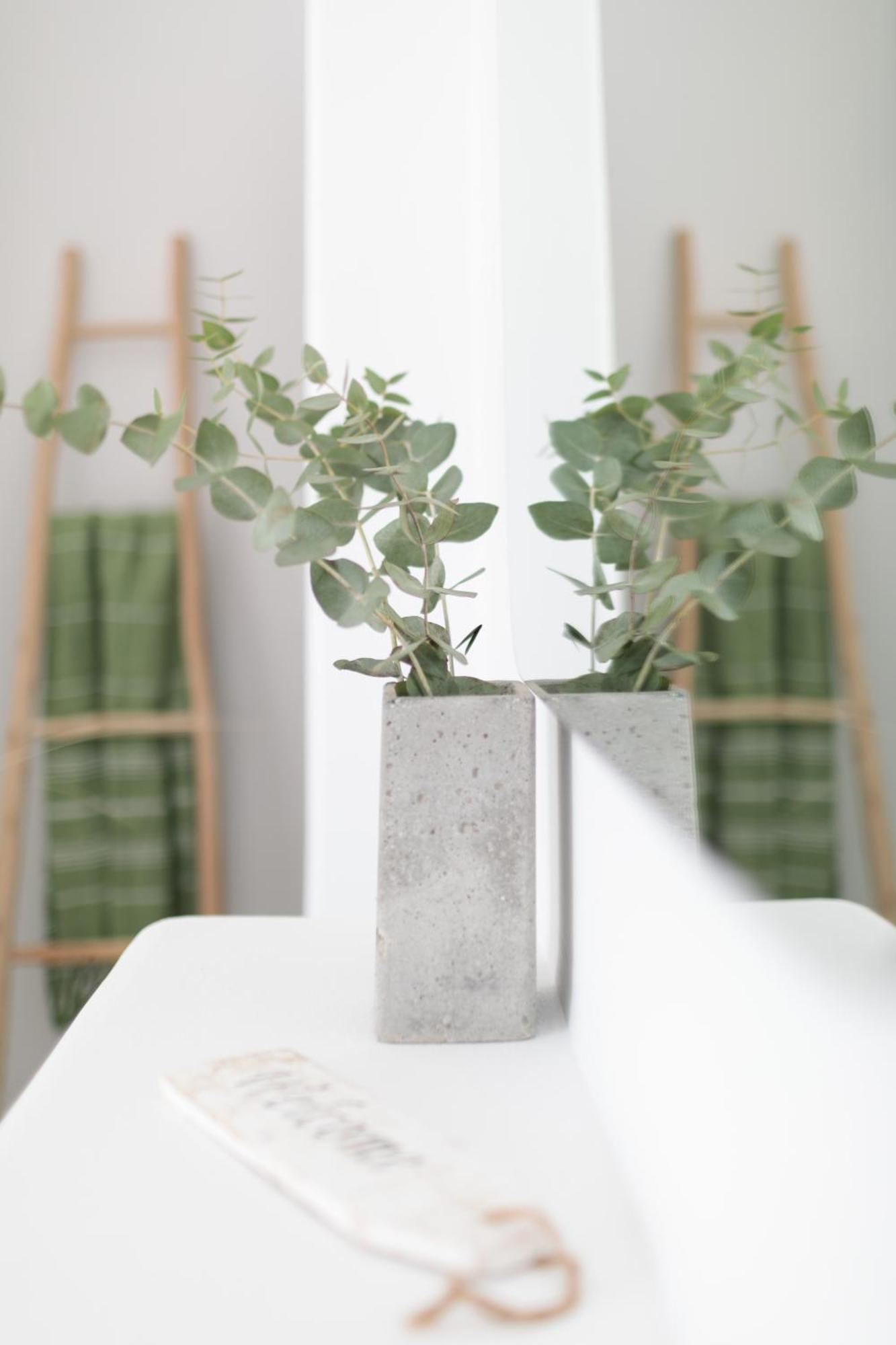 Naxos City Anamnesia Boutique Apartments Naxos Town מראה חיצוני תמונה